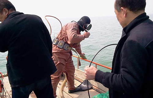 煙臺海洋
